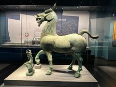 -广西壮族自治区博物馆