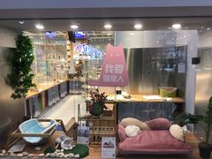 -狗道宠物(常熟印象城店)