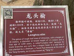 -青岛崂山太清宫