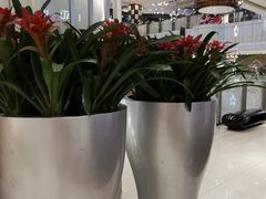 -远大购物中心(南岗店)