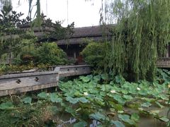 -韩湘水博园