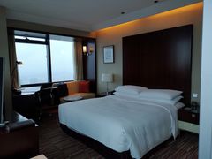 -上海龙之梦万丽酒店