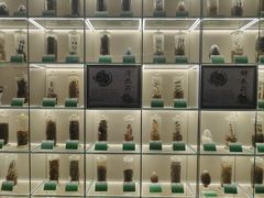 -广东中医药博物馆