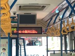 -白鹭洲公园