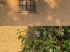 -福1015(愚园路店)