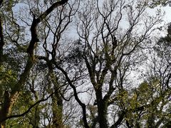 -普陀山慧济禅寺