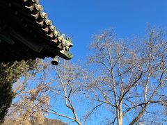 -潭柘寺景区