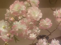-樱之盛宴·蟹料理海鲜自助(前进大街店)