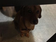 -炙热童年·老北京炙子烤肉(南锣鼓巷店)