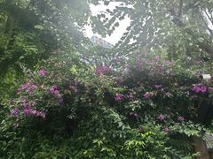 -大妙火锅·非物质文化遗产(东湖公园店)