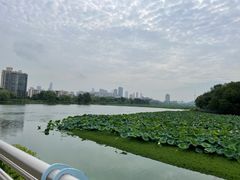 -月湖风景区