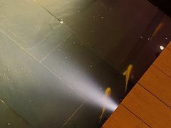 -觀芷隐轩