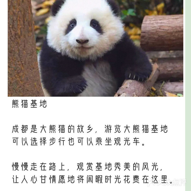 成都｜成都经典三日游攻略
