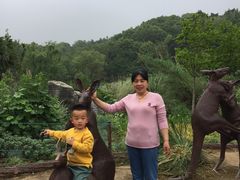 -大塘金香草谷