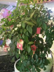 -重庆军科整形美容医院