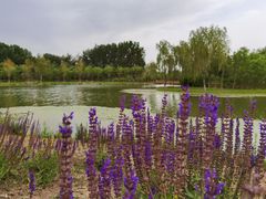 -东郊湿地公园