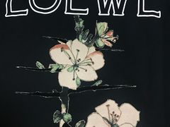-LOEWE罗意威(北京SKP女装店(一层))