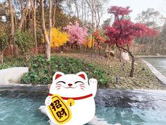 -太阳岛度假酒店