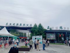 -黄海国家森林公园