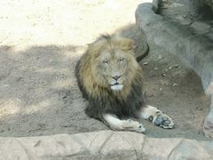 -北京野生动物园