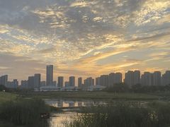 -洋湖国家湿地公园