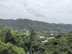 -海南槟榔谷黎苗文化旅游区