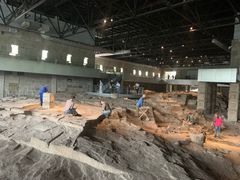 -自贡恐龙博物馆