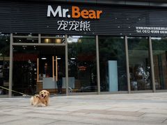 -宠宠熊宠物美容(星湖街店)
