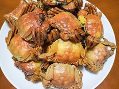 -全乐鱼馆·淳牌有机鱼直营店
