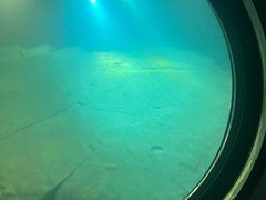 -白鹤梁水下博物馆