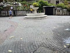 -龙头鱼丸店 只此一家只卖手工鲨鱼丸