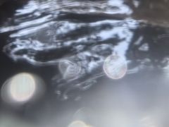 -融汇温泉