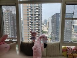 -净妍美肌专业净毛嫩肤连锁机构