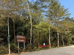 -海南霸王岭国家森林公园