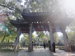 -汇龙潭