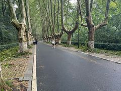 -灵谷景区
