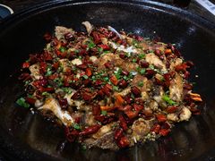 -肥鱼屯活鱼锅(惠工街店)
