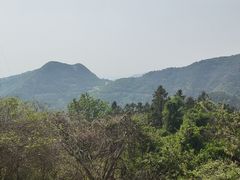 -木兰云雾山
