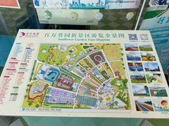 -百万葵园