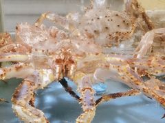 -阳光码头海鲜火锅(世纪大道店)