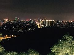 -金鸡山公园