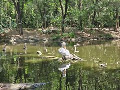 -济南野生动物世界