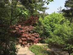 -兴福老面馆(寺路街店)