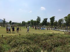 -田园东方蜜桃村的田野营地