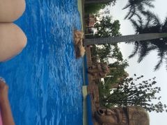 iphone_upload_pic-上海玛雅海滩水公园