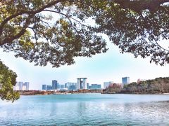 -天井湖游乐园