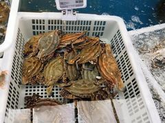 -盒马鲜生(大成店)
