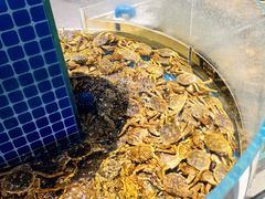 -王四营海鲜市场