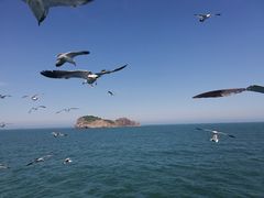 -海驴岛(荣成市)