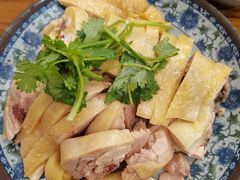 -九斤黄三黄鸡专卖店